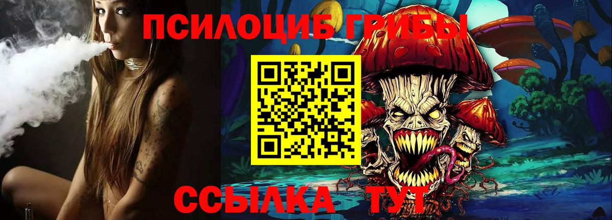 Вязники  Псилоцибиновые грибы Psilocybine cubensis  Галлюциногенные грибы Psilocybe  Вход с VPN 